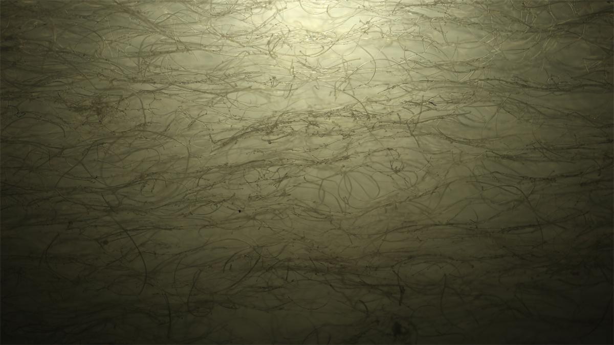 立体胶 (6)_看图王.jpg 立体胶 (6)_看图王.jpg