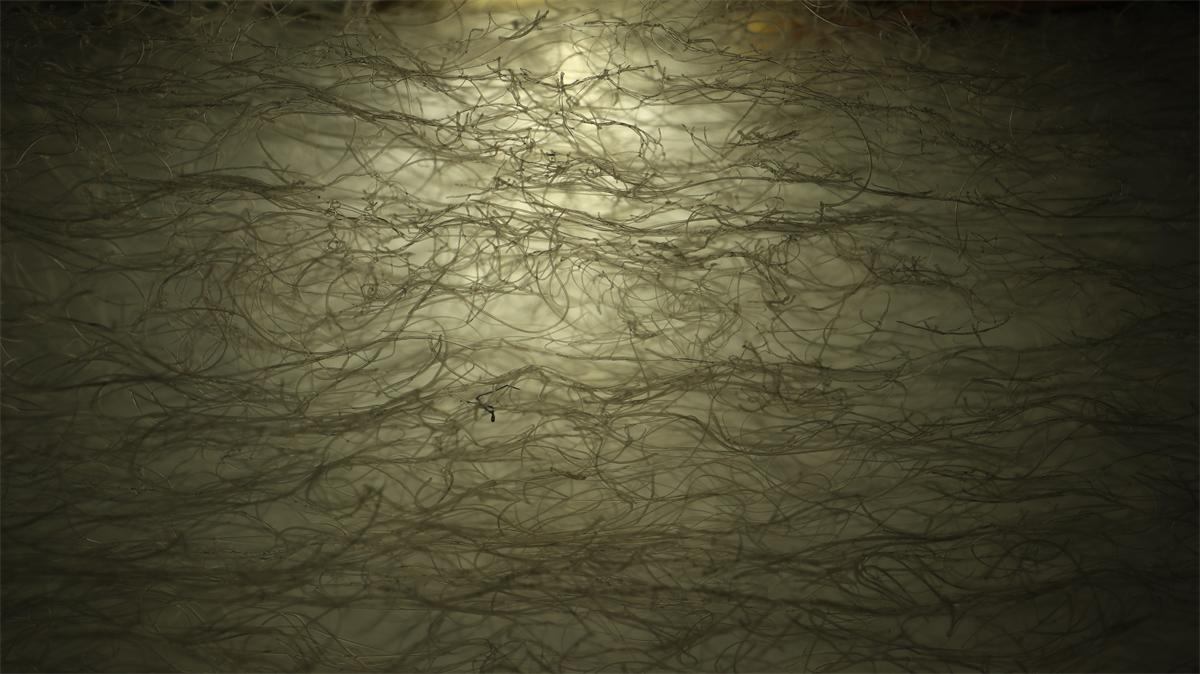 表面胶 (4)_看图王.jpg 表面胶 (4)_看图王.jpg